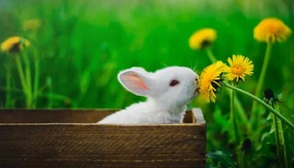 kaiyun官方入口登录-女子足球亚洲杯预选赛，中国队顺利晋级，女足亚洲杯2022